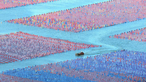 desanctis1_NurPhotoGettyImages_oyster_farming