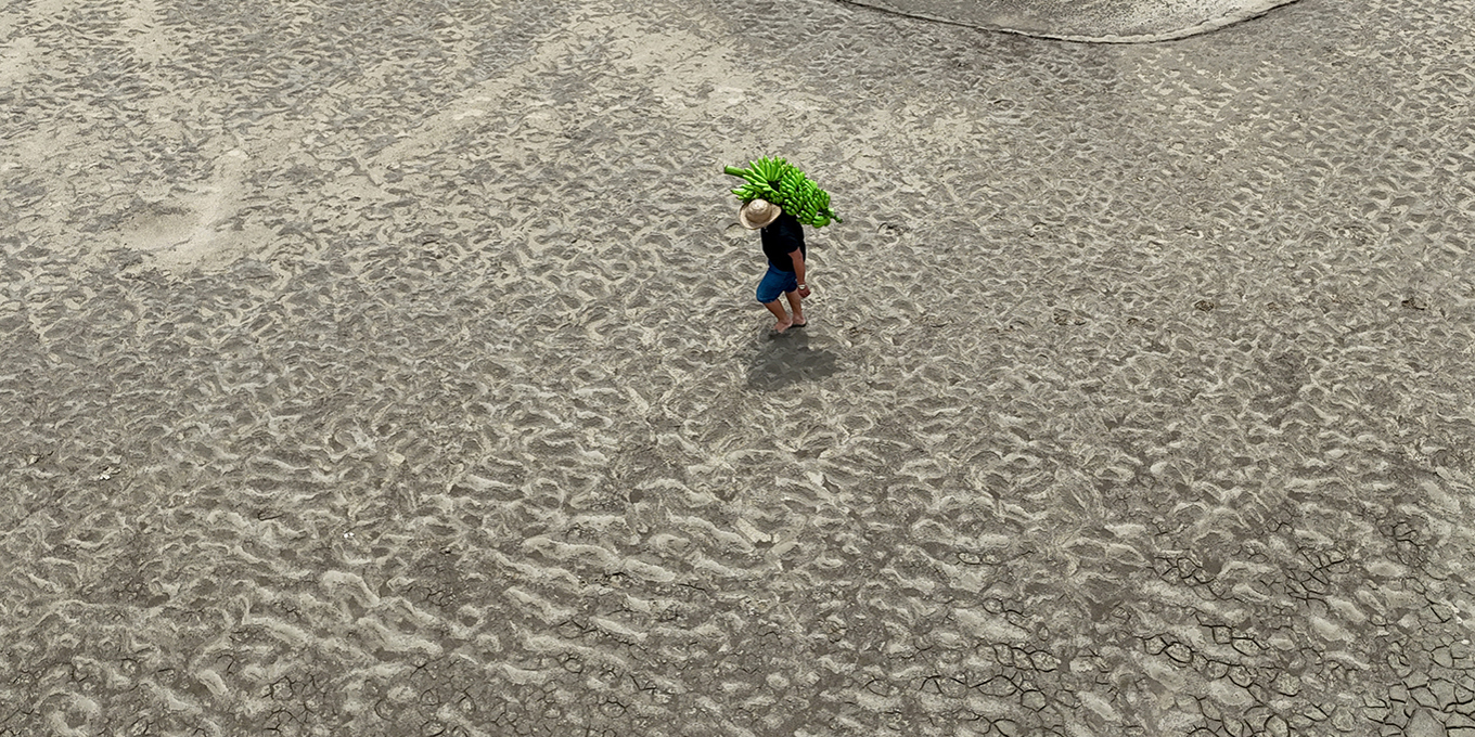 A Just Transition for Land