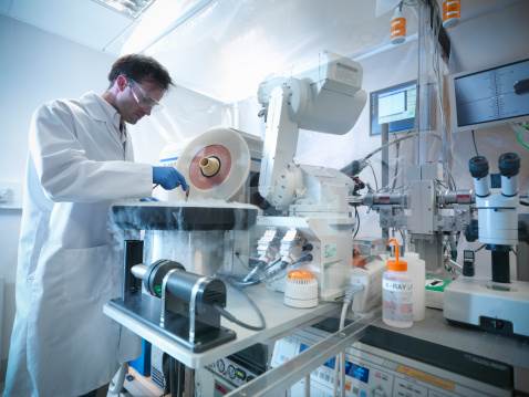 lab scientist