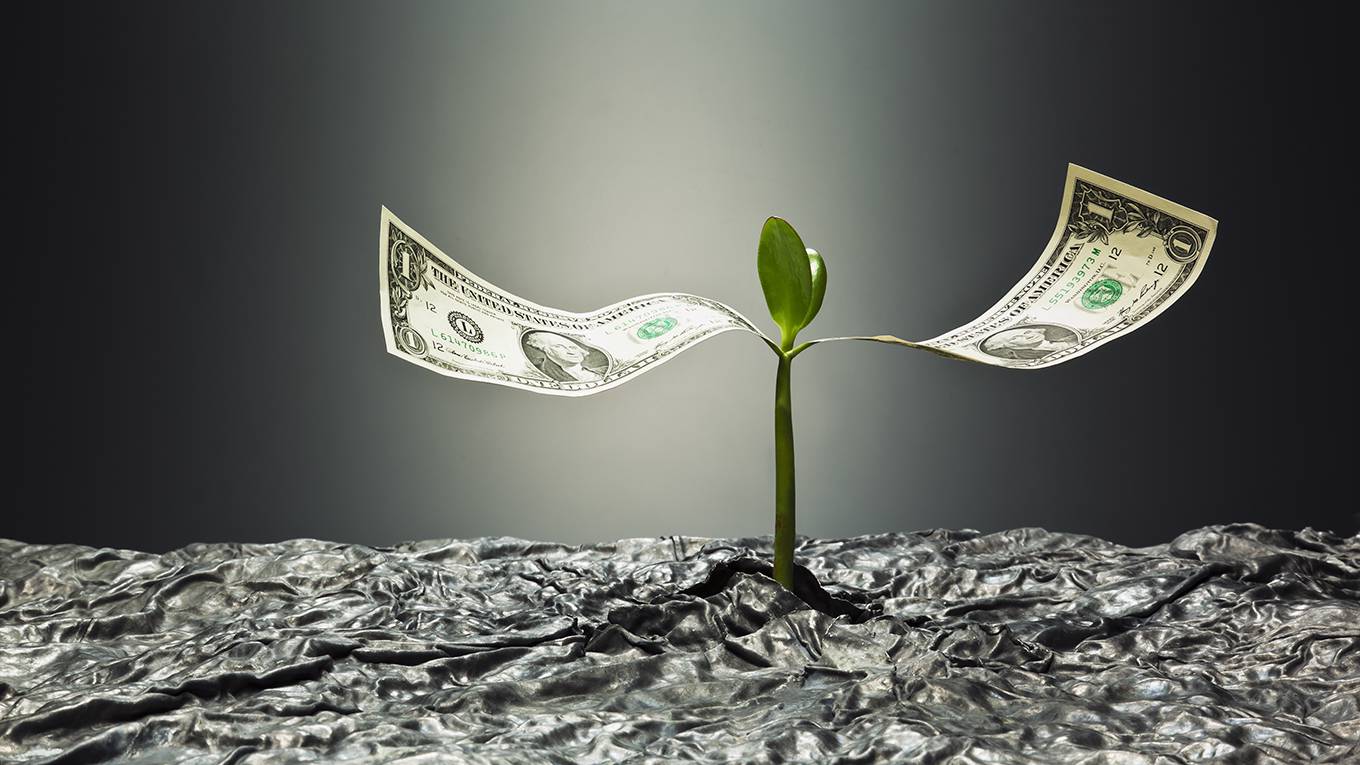 chichilnisky1_Yuji Sakai Getty Images_plantmoneysustainability