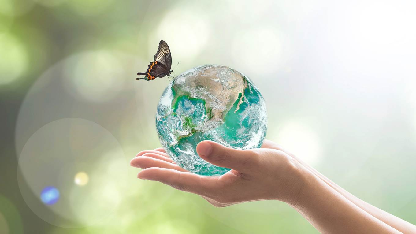 globe environment