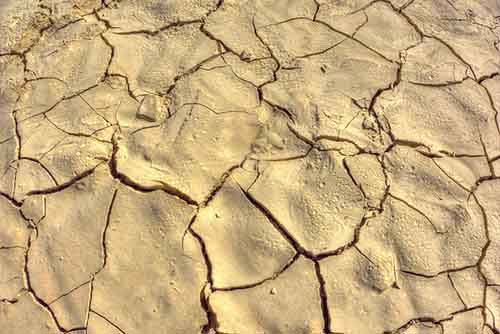Desert Cracking