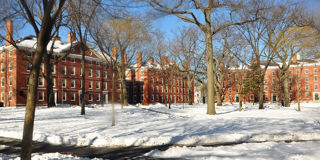 Harvard Yard Winter
