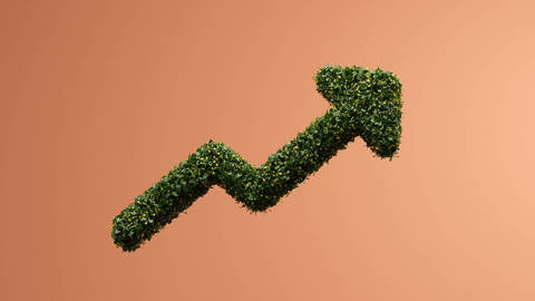 bardouille3_J StudiosGetty Images_moneynaturegrowth