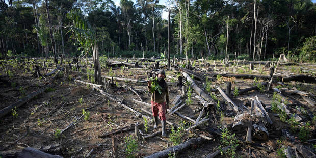 op_fofack1_RAUL ARBOLEDAAFP via Getty Images_deforestation