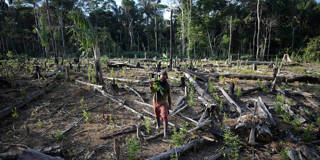 op_fofack1_RAUL ARBOLEDAAFP via Getty Images_deforestation