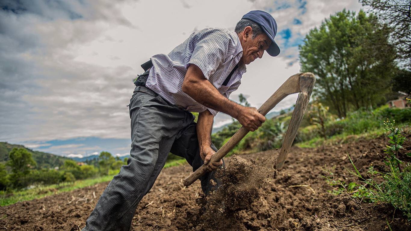 chicoma1_ERNESTO BENAVIDESAFP via Getty Images_potato farm peru