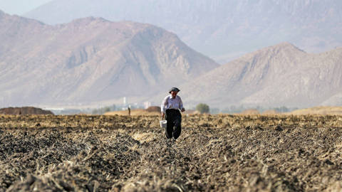aljasser2_AHMAD AL-RUBAYEAFP via Getty Images_iraqfarmdrought