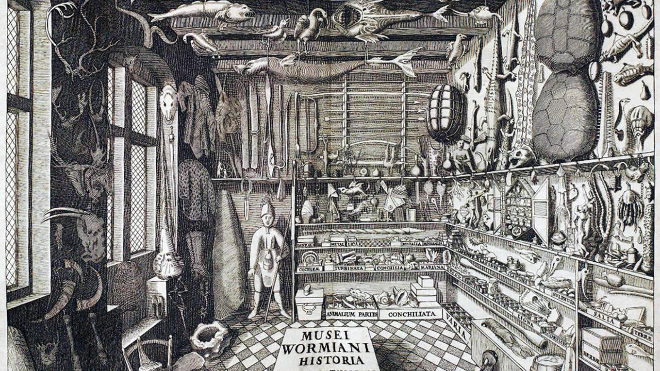 Ole Worm's cabinet of curiosities