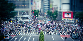 crowd city