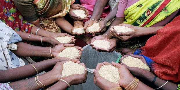 handfuls of rice