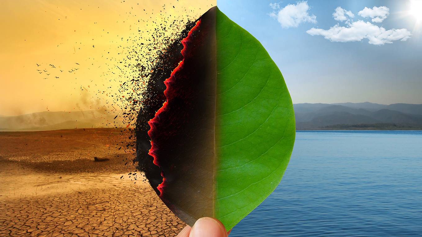 aguiar1_GettyImages_burninggreenleafdesertocean
