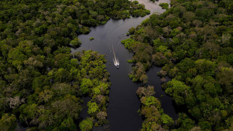 fayolle4_FLORENCE GOISNARDAFP via Getty Images_amazonforest