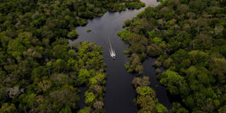 fayolle4_FLORENCE GOISNARDAFP via Getty Images_amazonforest