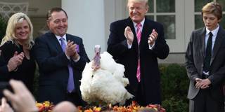 Trump & Turkey