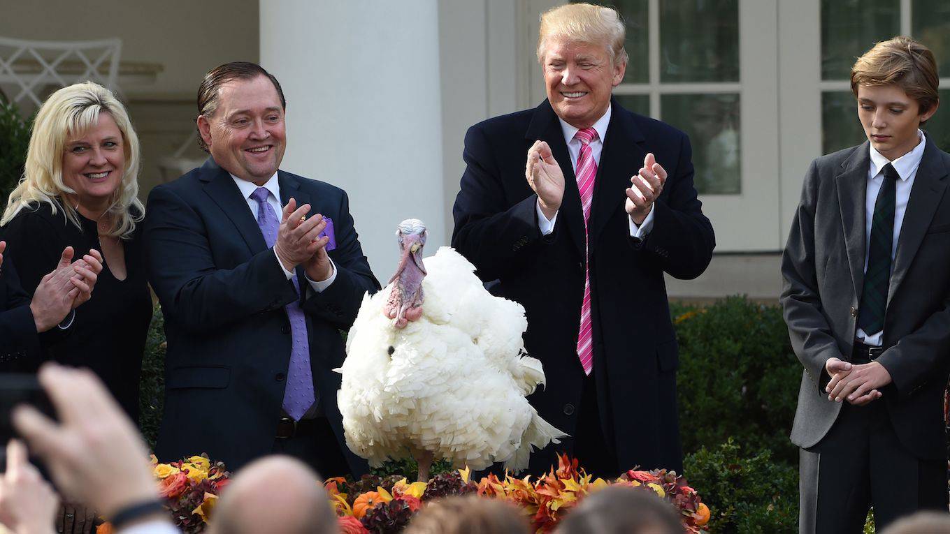 Trump & Turkey