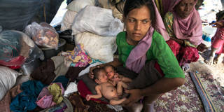 Rohingya refugees flood into Bangladesh