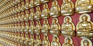 Buddha figures on wall