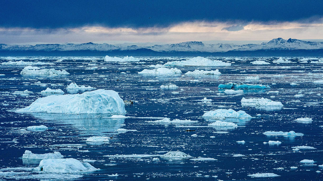 whiteman1_Ulrik Pedersen NurPhoto via Getty Images_icebergs melting
