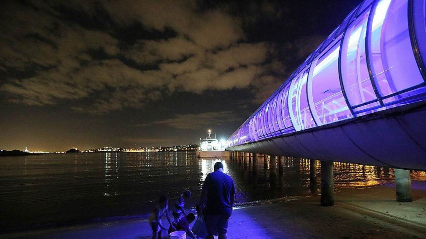 Rio de Janeiro urbanization