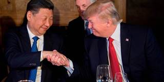 US President Donald Trump and Chinese President Xi Jinping shake hands 