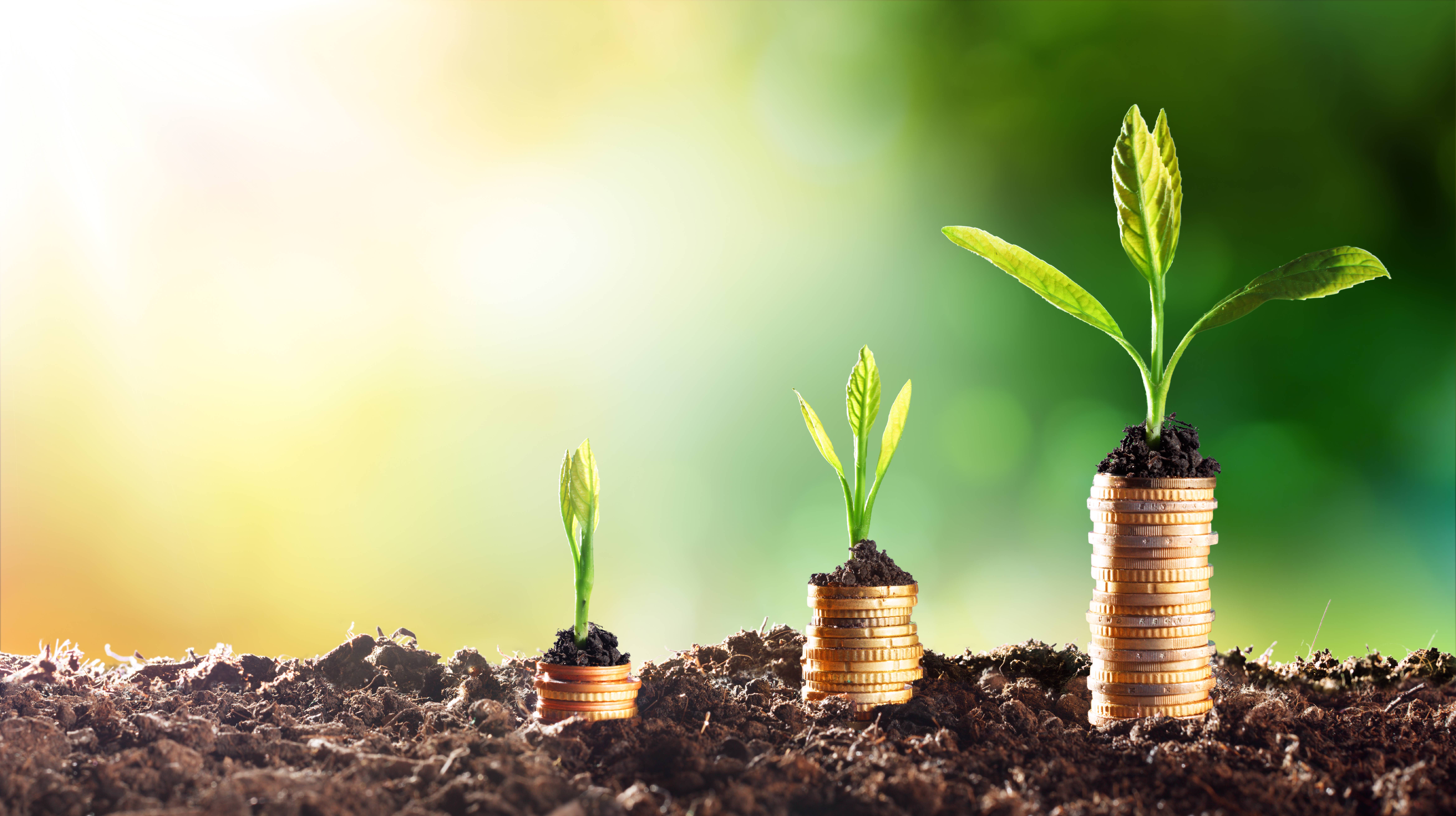 bp_sustainabilityfinance