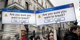 sinn85_Jenny MatthewsIn Pictures via Getty Images_brexit protest