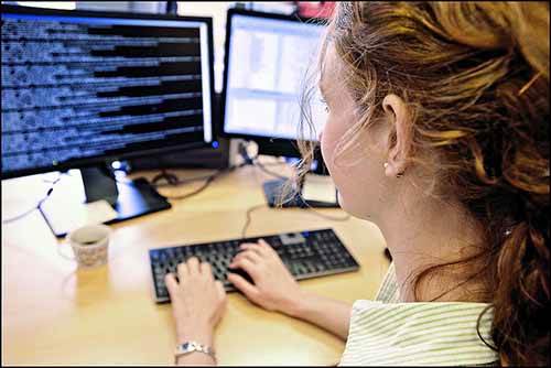Working in information and communication technology