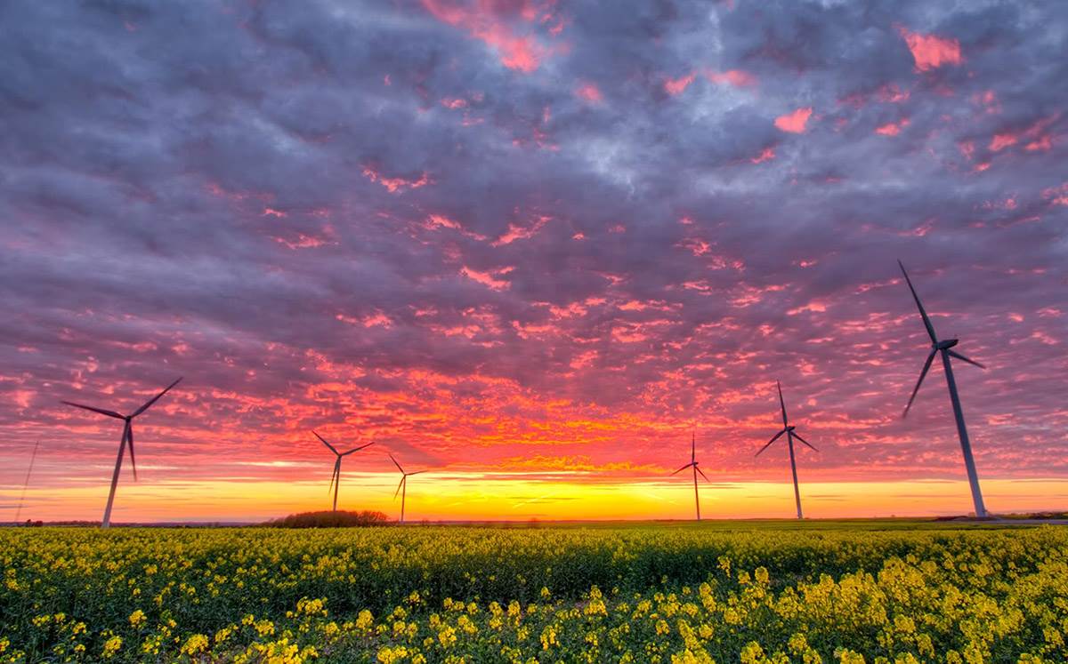 harnessing nature for sustainable development