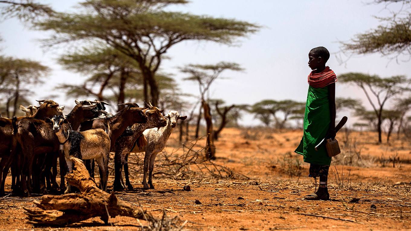 homannkeetui1_LUIS TATOAFP via Getty Images_goatsafricachildfarm