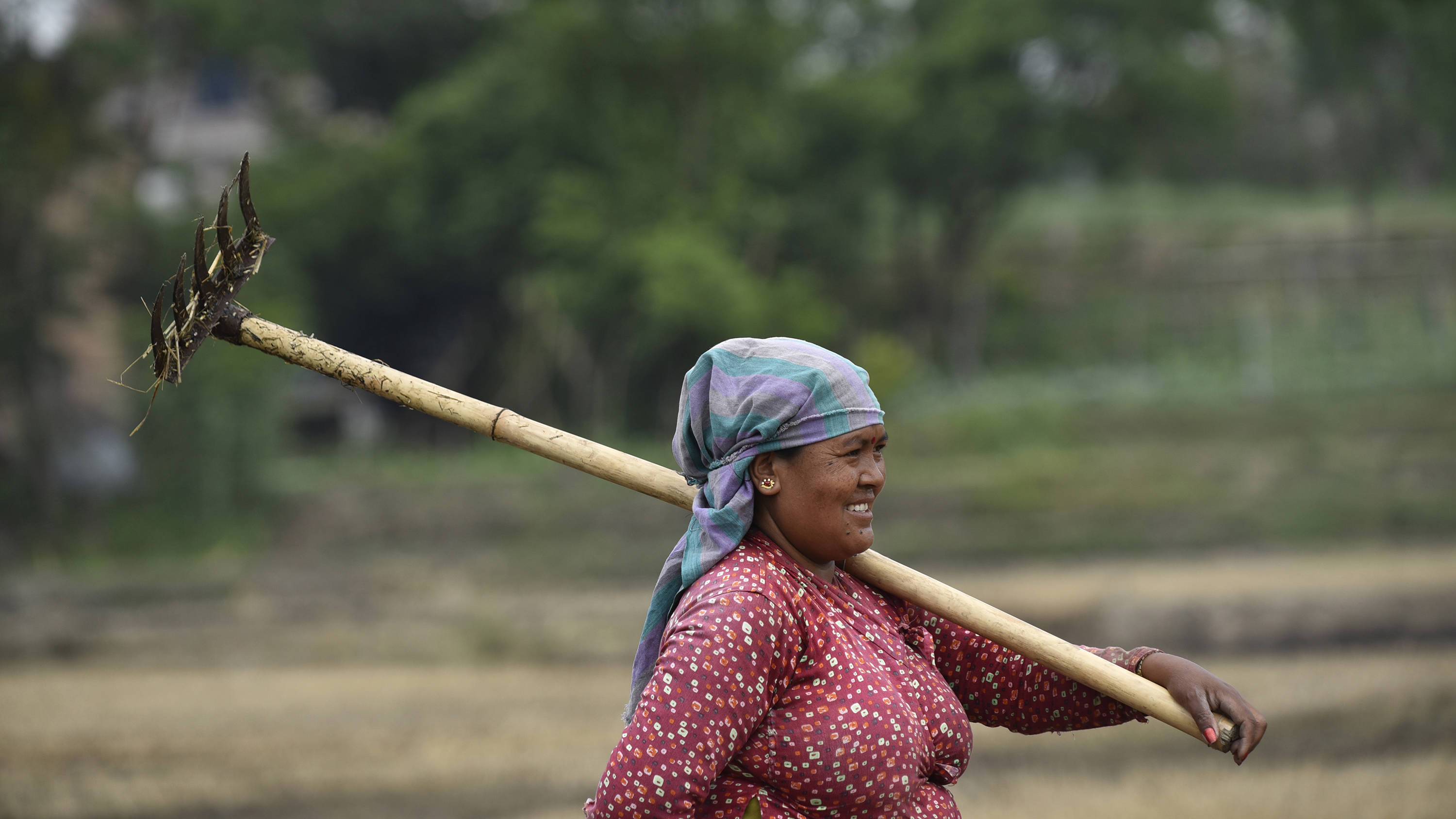 asadullah7_Narayan MaharjanNurPhoto via Getty Images_nepalwomanfarmer