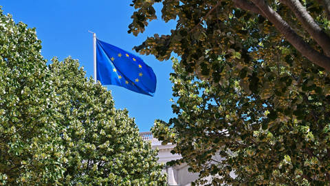 EU flag between trees.
