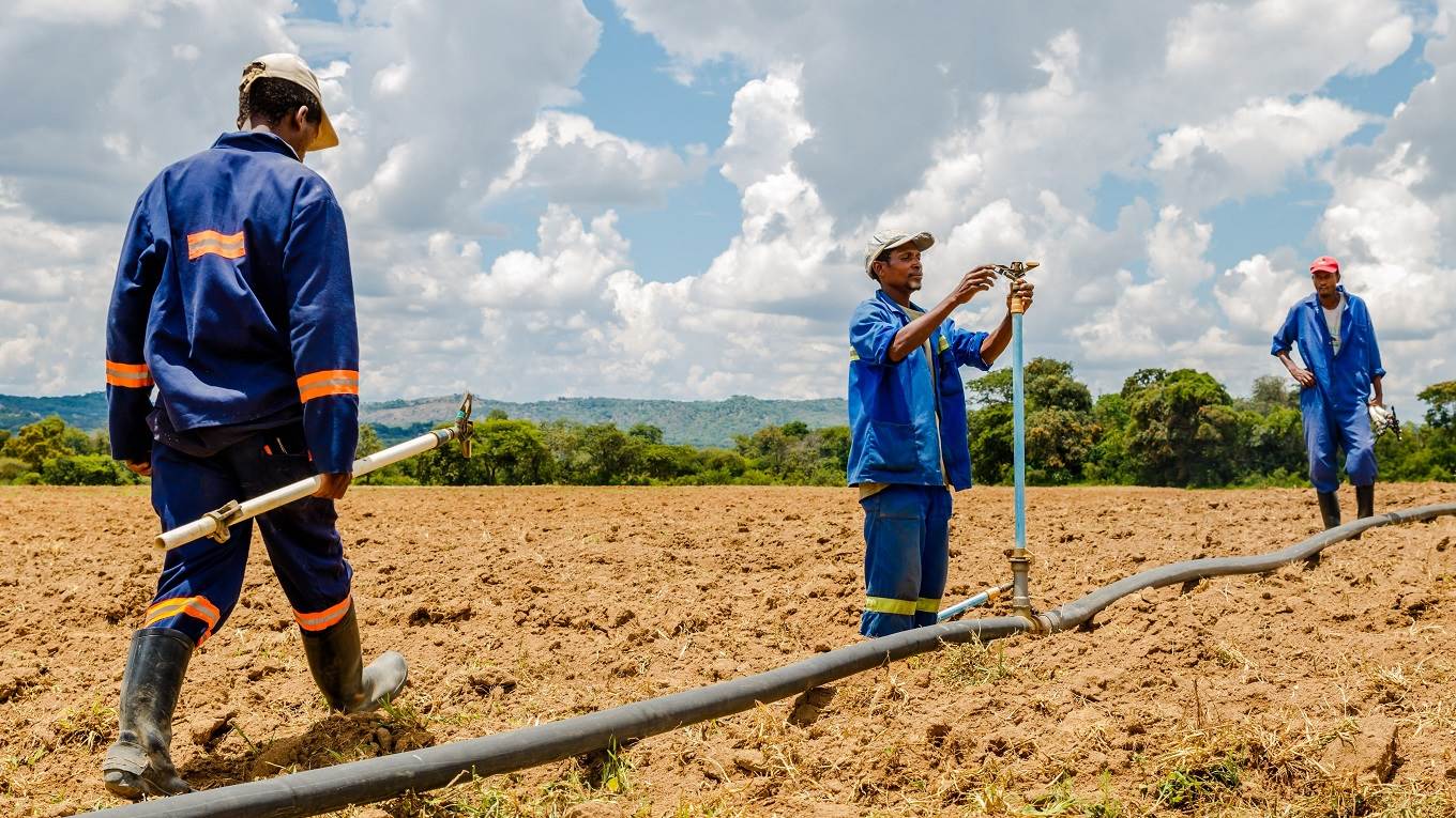 Employees at a farm