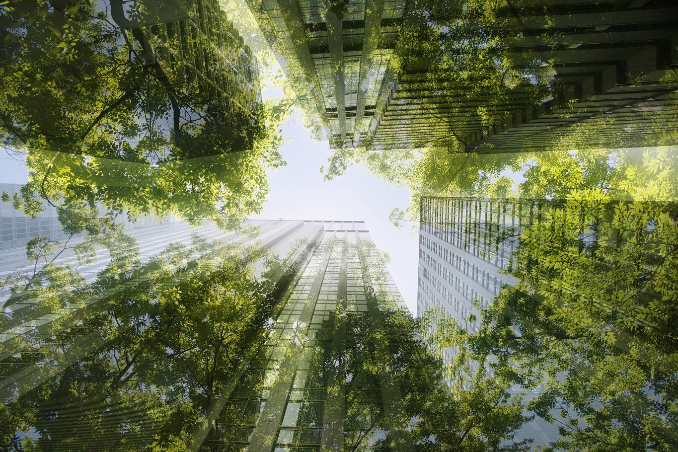jacobs5_Hiroshi Watanabe Getty Images_green growth