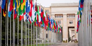 dervis94_EntienouGettyImages_UnitedNationsflags