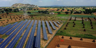 Solar panels at a farm in Bhaloji village, Rajasthan, India, installed by farmer and doctor Amit Singh, illustrating India’s push toward renewable energy ahead of COP26.
