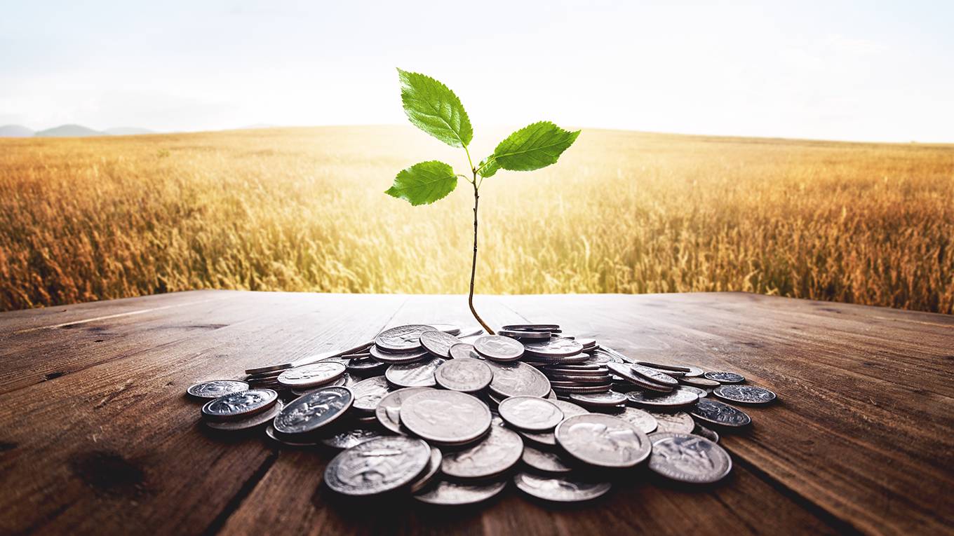 masi1_GettyImages_plantgrowingcoinssunshine