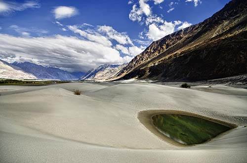 Oasis in Winter