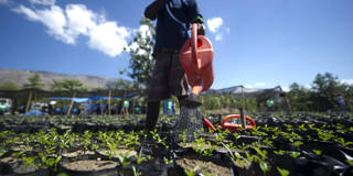 lomborg143_Hector Retamal_AFP_Getty Images_haiti agriculture