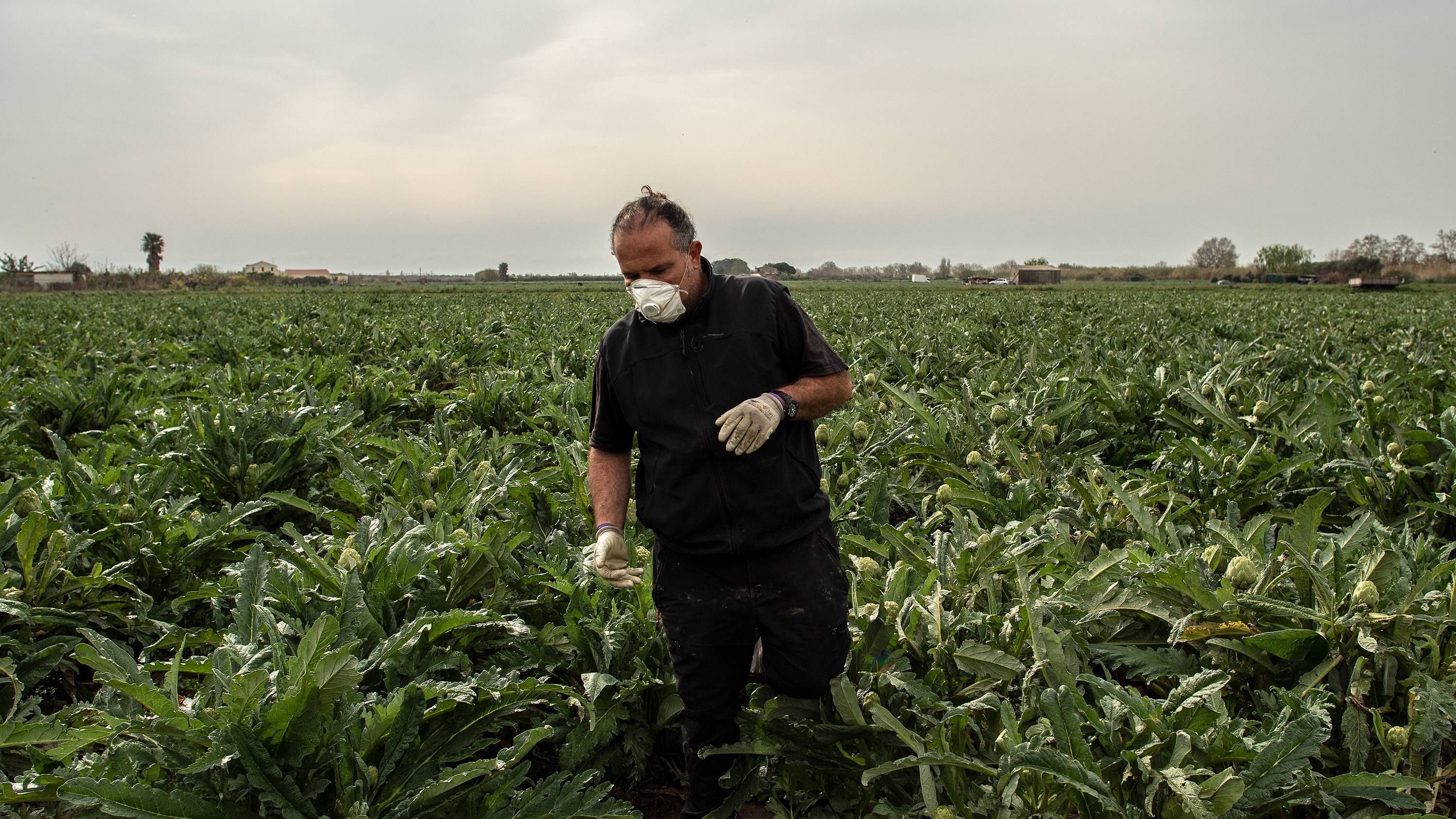 sihlobo1_David RamosGetty Images_spaincoronavirusfarmercrops