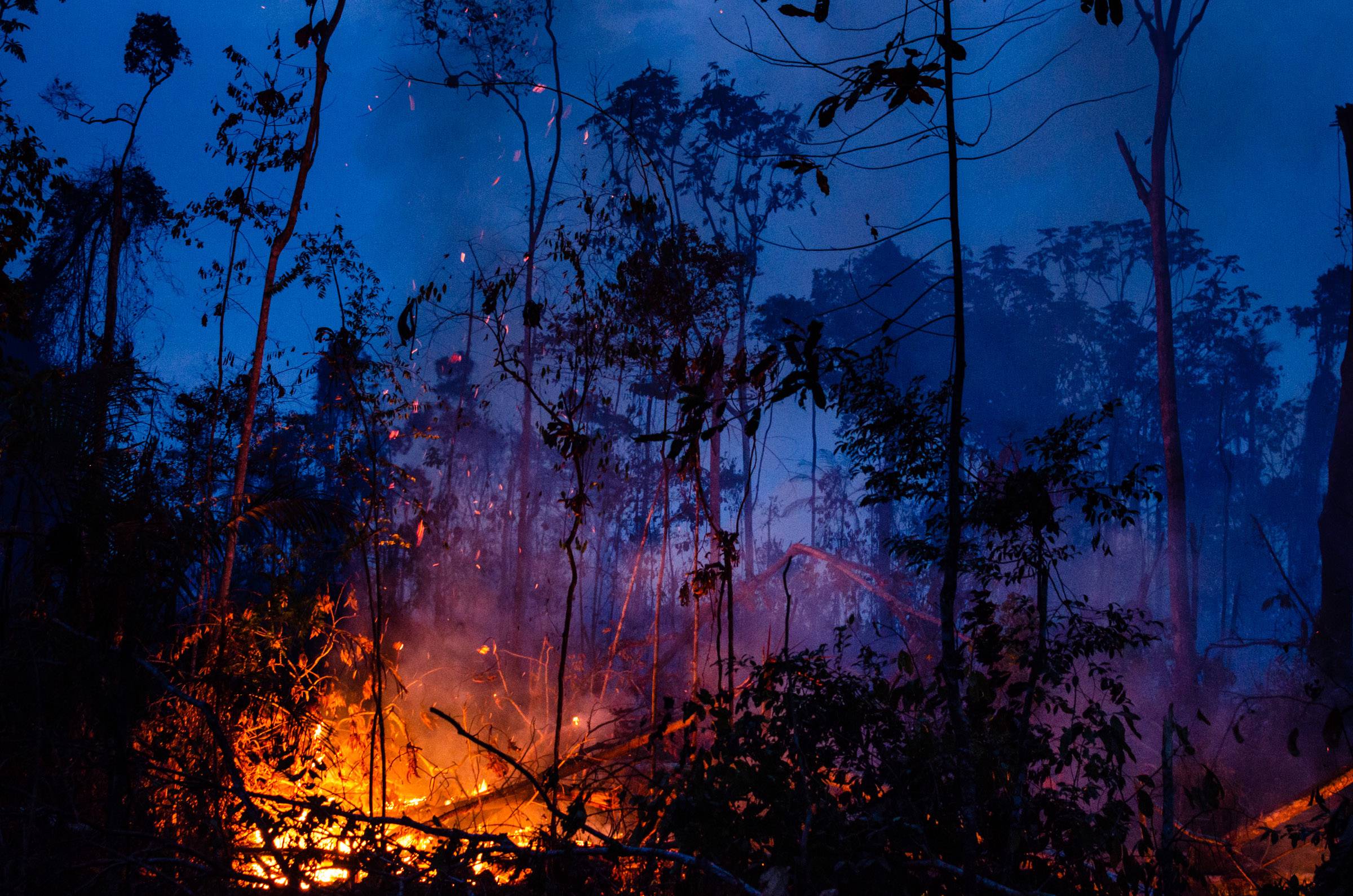 msilva1_Gustavo BassoNurPhoto via Getty Images_amazon fire