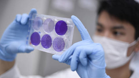 Researcher working on a vaccine.