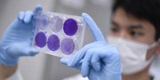 Researcher working on a vaccine.
