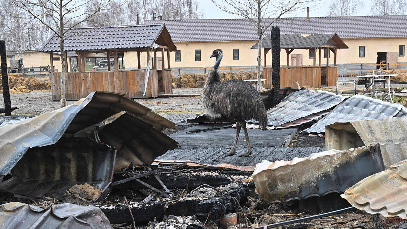 singer204_SERGEI SUPINSKYAFP via Getty Image_ukrainewarzoo