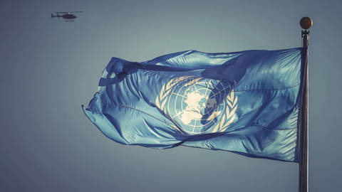 posner38_Viktor SidorovGettyImages_un_flag