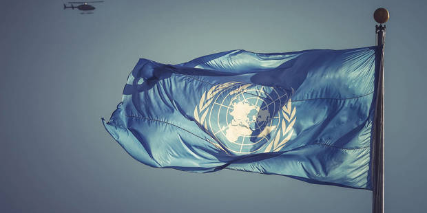 posner38_Viktor SidorovGettyImages_un_flag