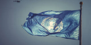 posner38_Viktor SidorovGettyImages_un_flag