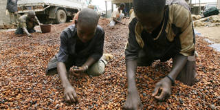 stiglitz290_SIA KAMBOUAFP via Getty Images_child cocoa slaves