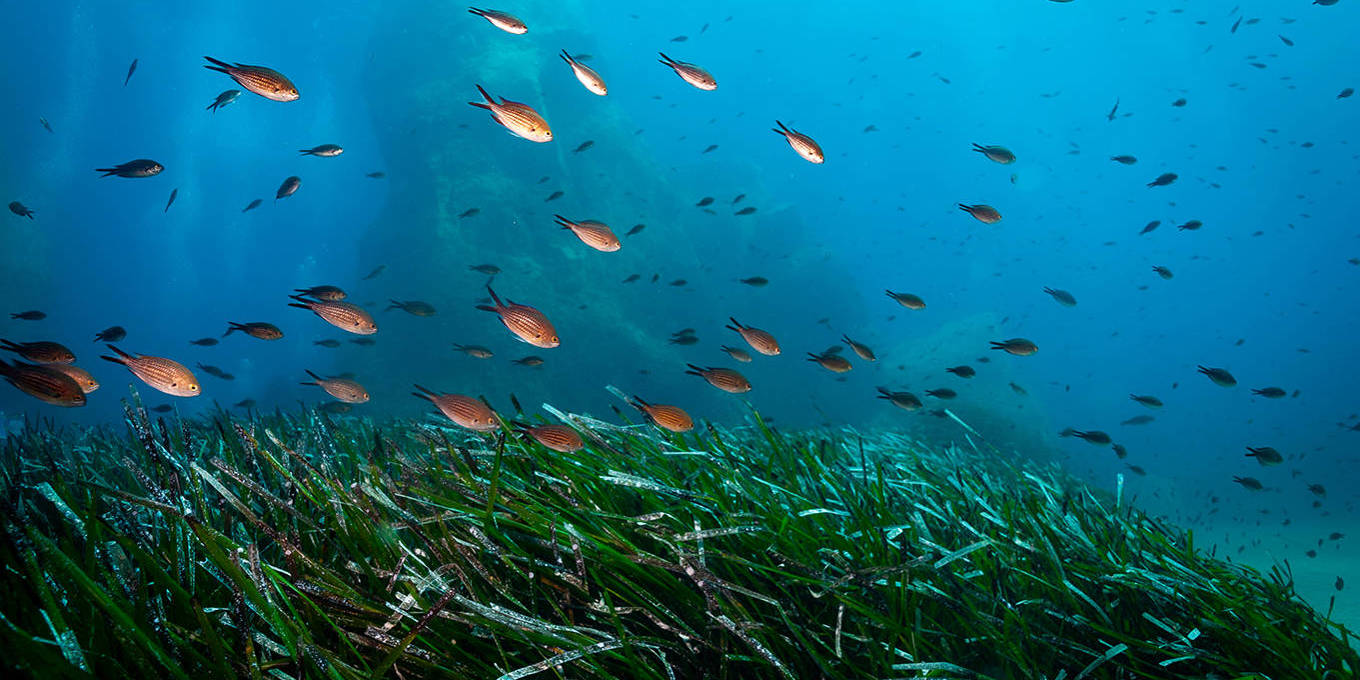 The Ocean Has Finally Entered the Global Climate Debate