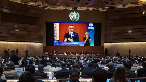 brown119_Fabrice CoffriniAFPGettyImages_world_health_assembly